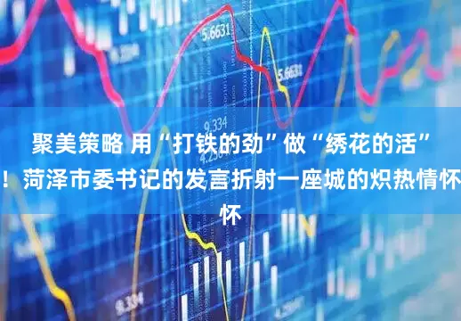 聚美策略 用“打铁的劲”做“绣花的活”！菏泽市委书记的发言折射一座城的炽热情怀