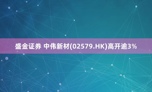 盛金证券 中伟新材(02579.HK)高开逾3%